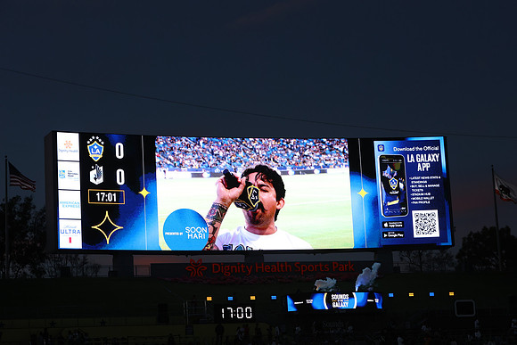 0404026_LAGalaxyvsMinnesota_GA_07771