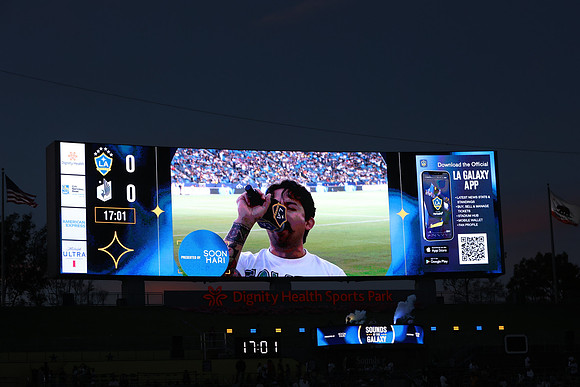 0404026_LAGalaxyvsMinnesota_GA_07770