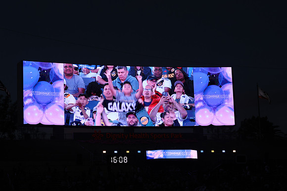 0404026_LAGalaxyvsMinnesota_GA_07843