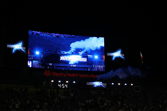 0404026_LAGalaxyvsMinnesota_GA_07869