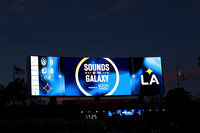 0404026_LAGalaxyvsMinnesota_GA_07717