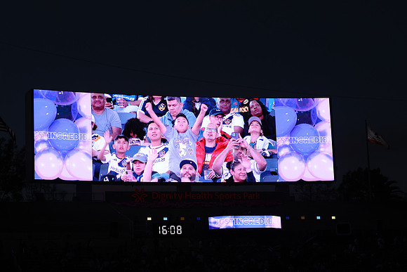 0404026_LAGalaxyvsMinnesota_GA_07845
