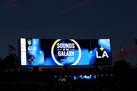 0404026_LAGalaxyvsMinnesota_GA_07716