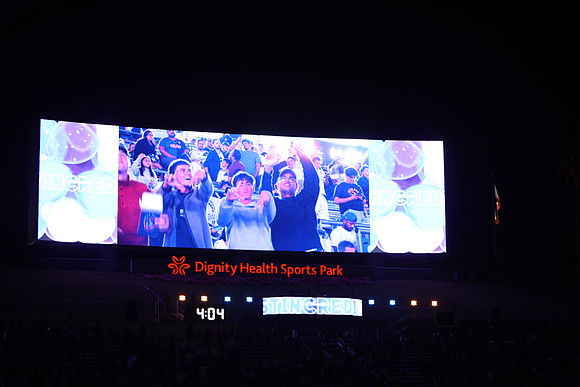 0404026_LAGalaxyvsMinnesota_GA_07890