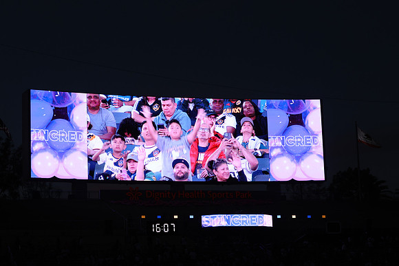 0404026_LAGalaxyvsMinnesota_GA_07847