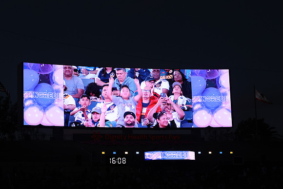 0404026_LAGalaxyvsMinnesota_GA_07846
