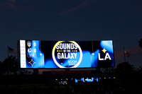 0404026_LAGalaxyvsMinnesota_GA_07715