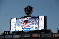 0404026_LAGalaxyvsMinnesota_GA_07535