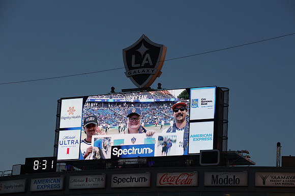 0404026_LAGalaxyvsMinnesota_GA_07546