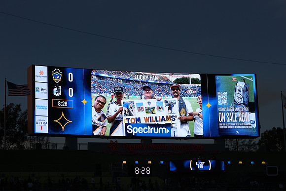 0404026_LAGalaxyvsMinnesota_GA_07553
