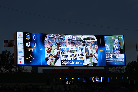 0404026_LAGalaxyvsMinnesota_GA_07557