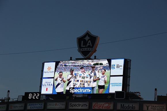 0404026_LAGalaxyvsMinnesota_GA_07569