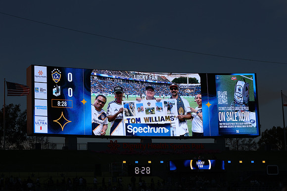 0404026_LAGalaxyvsMinnesota_GA_07555