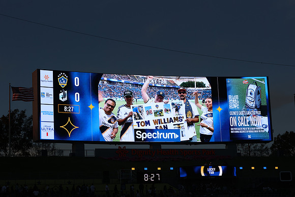 0404026_LAGalaxyvsMinnesota_GA_07558