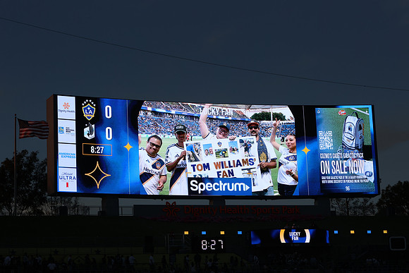 0404026_LAGalaxyvsMinnesota_GA_07559