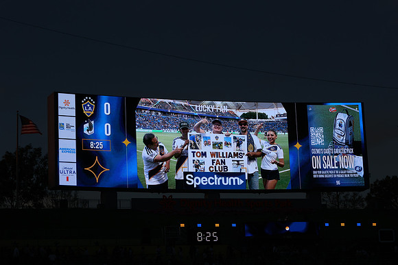 0404026_LAGalaxyvsMinnesota_GA_07563