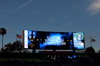 0404026_LAGalaxyvsMinnesota_GA_07517