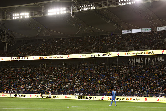 0404026_LAGalaxyvsMinnesota_GA_06428