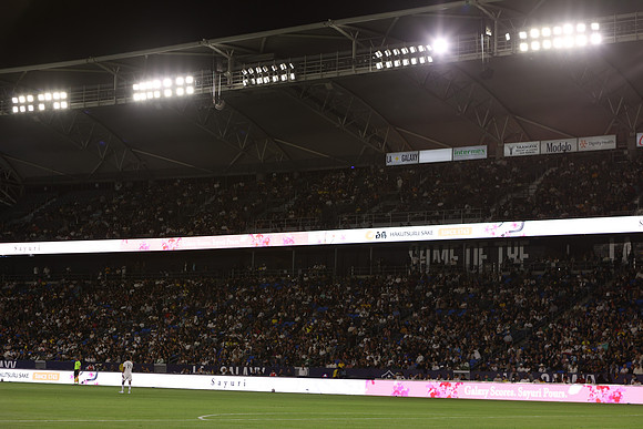 0404026_LAGalaxyvsMinnesota_GA_06415