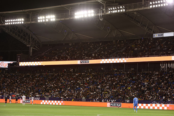 0404026_LAGalaxyvsMinnesota_GA_06359