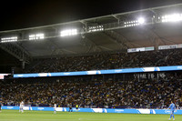 0404026_LAGalaxyvsMinnesota_GA_06199