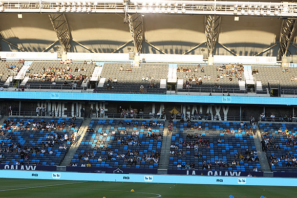 0404026_LAGalaxyvsMinnesota_GA_06277