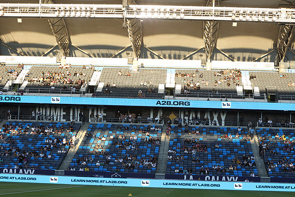 0404026_LAGalaxyvsMinnesota_GA_06274