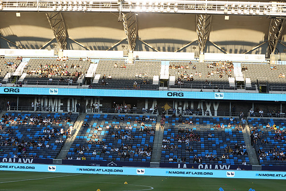 0404026_LAGalaxyvsMinnesota_GA_06275