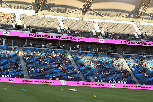 0404026_LAGalaxyvsMinnesota_GA_06299