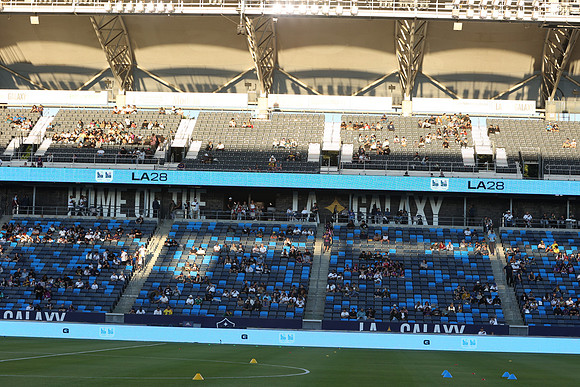0404026_LAGalaxyvsMinnesota_GA_06278
