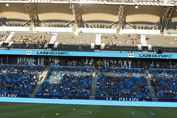 0404026_LAGalaxyvsMinnesota_GA_06279