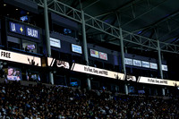 0404026_LAGalaxyvsMinnesota_GA_06194