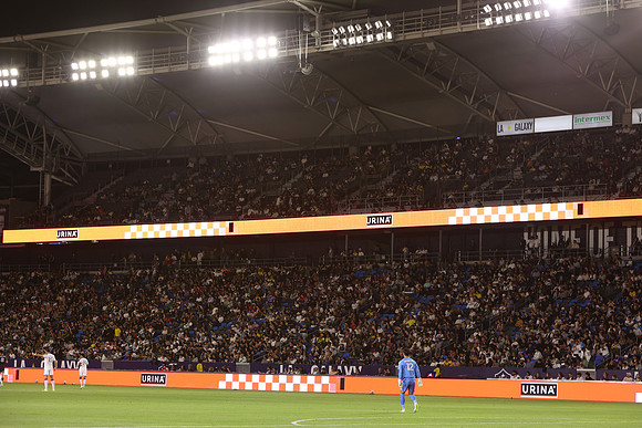 0404026_LAGalaxyvsMinnesota_GA_06355