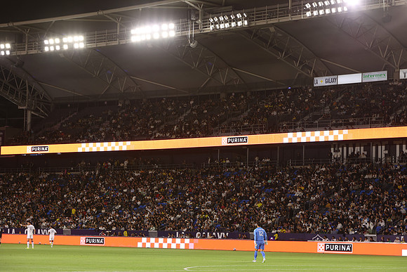0404026_LAGalaxyvsMinnesota_GA_06354