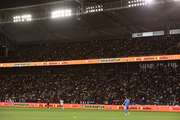 0404026_LAGalaxyvsMinnesota_GA_06424