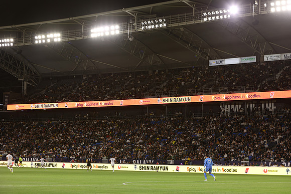 0404026_LAGalaxyvsMinnesota_GA_06421