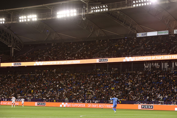 0404026_LAGalaxyvsMinnesota_GA_06352