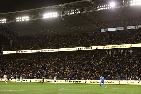 0404026_LAGalaxyvsMinnesota_GA_06420