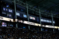 0404026_LAGalaxyvsMinnesota_GA_06193