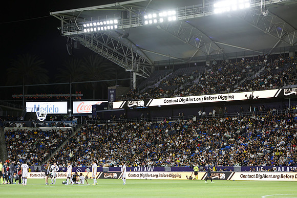 0404026_LAGalaxyvsMinnesota_GA_06187