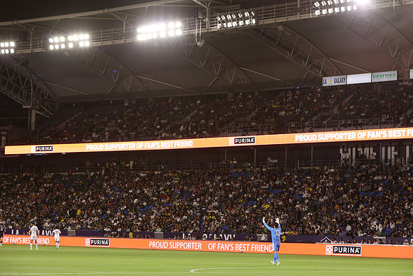 0404026_LAGalaxyvsMinnesota_GA_06350