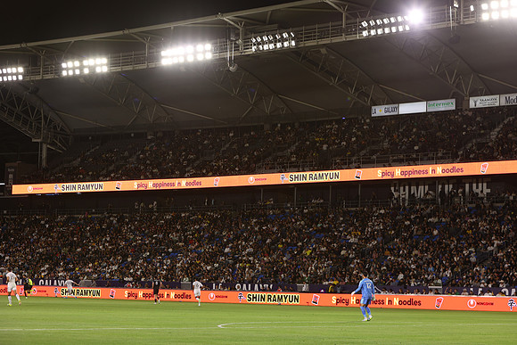 0404026_LAGalaxyvsMinnesota_GA_06422