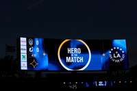 0404026_LAGalaxyvsMinnesota_GA_06055