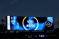 0404026_LAGalaxyvsMinnesota_GA_06056