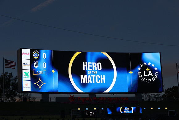 0404026_LAGalaxyvsMinnesota_GA_06056
