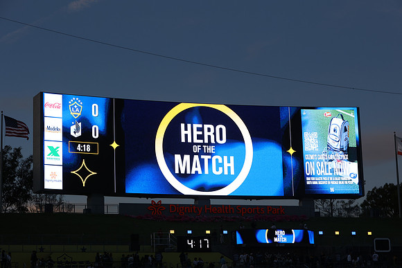 0404026_LAGalaxyvsMinnesota_GA_06079