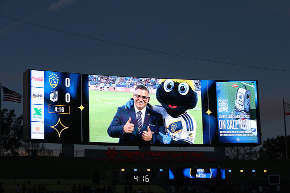 0404026_LAGalaxyvsMinnesota_GA_06087