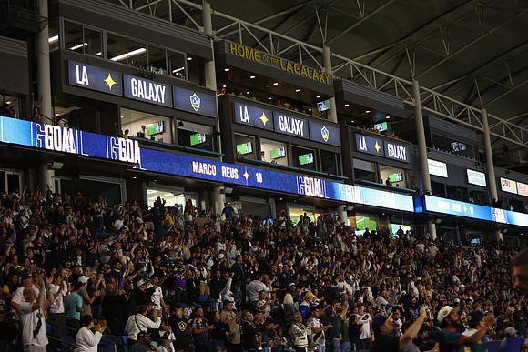 0404026_LAGalaxyvsMinnesota_GA_06028