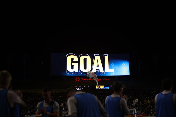 0404026_LAGalaxyvsMinnesota_GA_06018