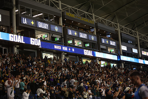 0404026_LAGalaxyvsMinnesota_GA_06030